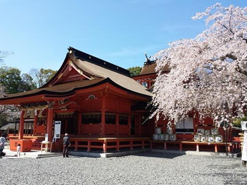 Guest House Tokiwa Fujinomiya Exterior foto